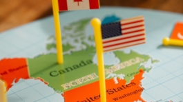 pexels-lara-jameson-8828449