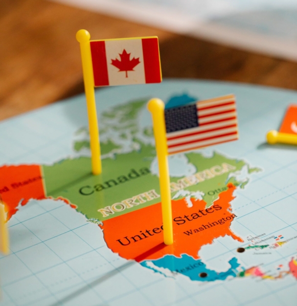 pexels-lara-jameson-8828449